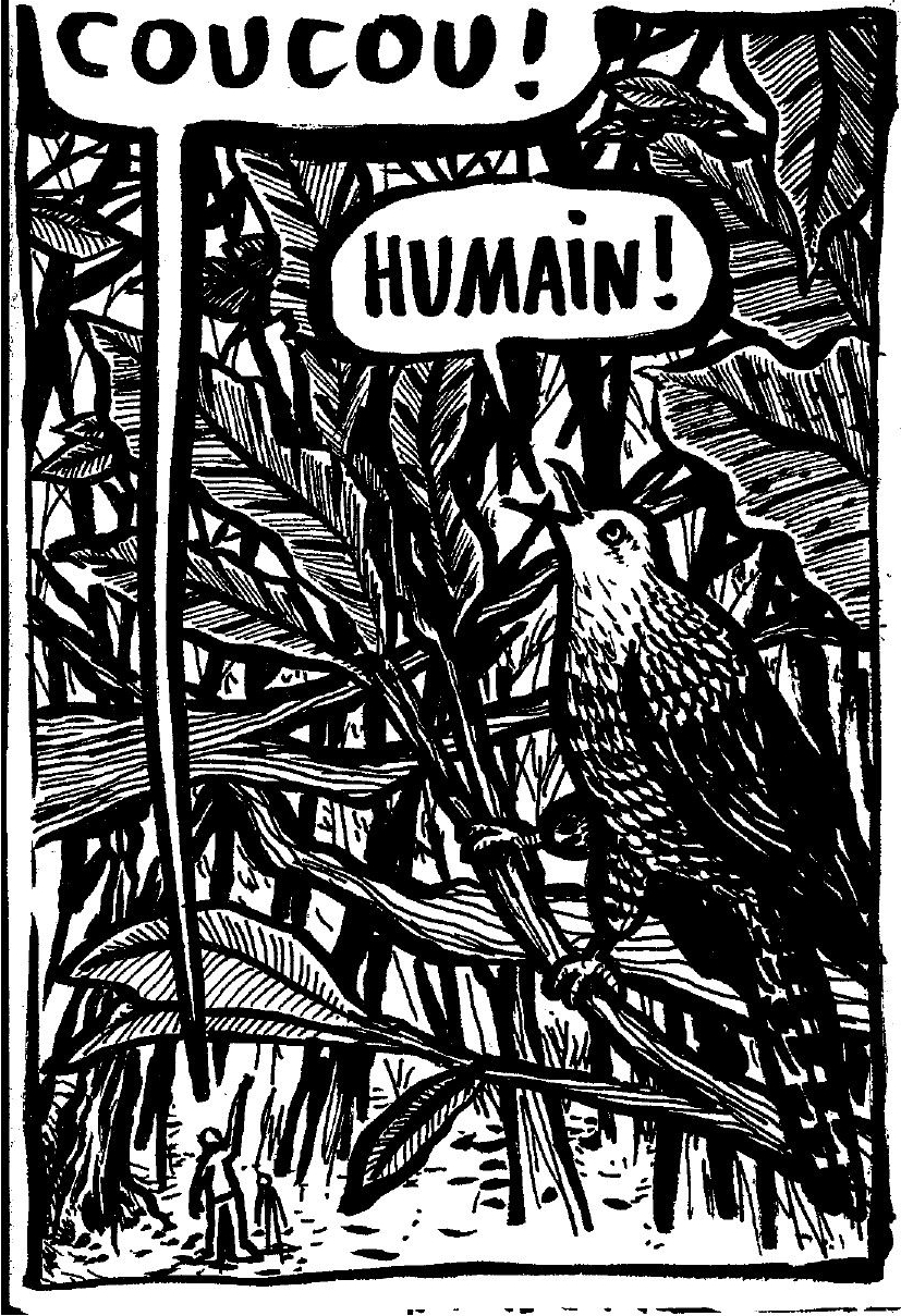 Dessin d'humain criant "coucou" et d'un coucou répondant "humain"